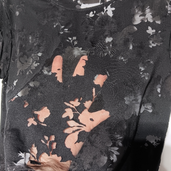 APT. 9 EUC Women's Blouse, Black & Sheer, Cap Sleeve, Size Medium - Picture 5 of 8